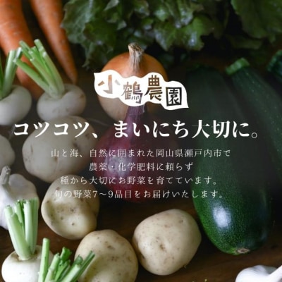 小鶴農園 季節のお野菜7～9品目セット(栽培期間中農薬・化学肥料不使用)[No.5735-1047]