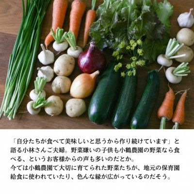 小鶴農園 季節のお野菜7～9品目セット(栽培期間中農薬・化学肥料不使用)[No.5735-1047]