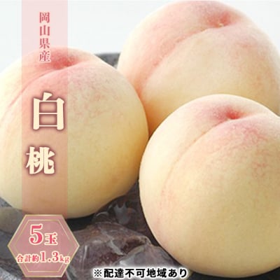 【2025年 先行受付】 白桃 5玉 合計約1.3kg 岡山県産  [No.5735-0879]