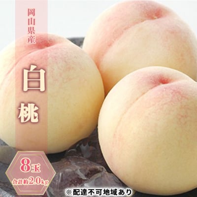 【2025年 先行受付】 白桃 8玉 合計約2.0kg 岡山県産  [No.5735-0880]