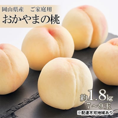 ご家庭用 おかやま の 桃 約1.8kg(7～9玉) 岡山県産 [No.5735-0876]