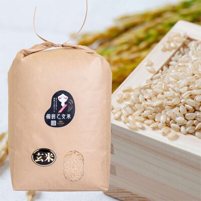 令和7年産 石原果樹園の備前乙女米 玄米 10kg×1袋 岡山県 [No.5735-1122]