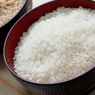 令和7年産 石原果樹園の備前乙女米 白米 10kg×1袋 岡山県 [No.5735-1123]