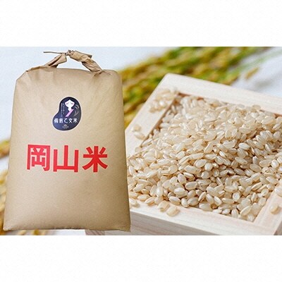 令和7年産 石原果樹園の備前乙女米 玄米 30kg×1袋 岡山県 [No.5735-1124]