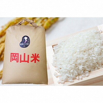 石原果樹園の備前乙女米 白米 30kg×1袋 ※11月上旬～順次発送予定[No.5735-1125]