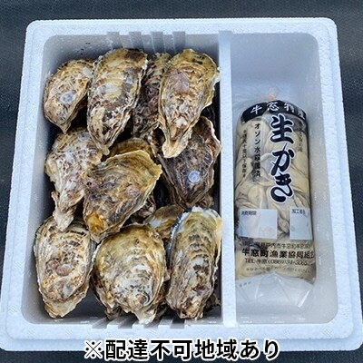 牛窓産牡蠣むき身500g・小サイズ殻付き牡蠣約2kgセット※加熱調理用[No.5735-1127]