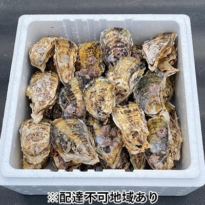 内田水産 瀬戸内牛窓産 小サイズ殻付き牡蠣約3kg※加熱調理用[No.5735-1128] 