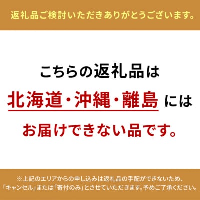 [2025年先行受付]フルーツ 定期便晴れの国 おかやま 5回コース  [No.5735-1119]