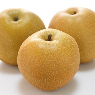 先行受付 晴れの国おかやまの旬のフルーツ定期便 5回コース No 5735 1119 お礼品詳細 ふるさと納税なら さとふる