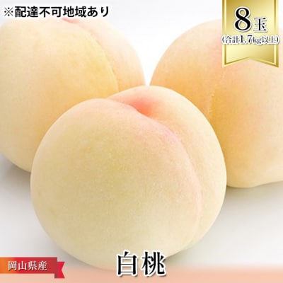 [2026年先行受付]白桃 8玉(合計1.7kg以上)化粧箱入 岡山県産[No.5735-1096]