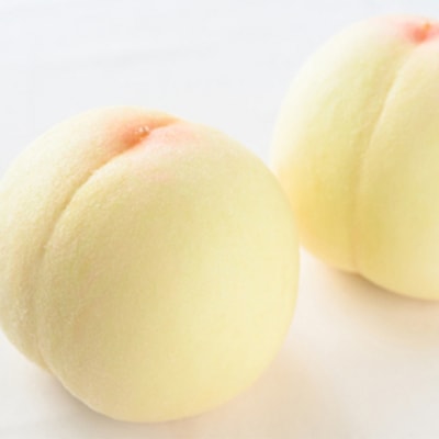 [2026年先行受付]白桃 8玉(合計1.7kg以上)化粧箱入 岡山県産[No.5735-1096]