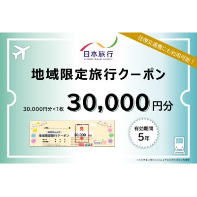 日本旅行 地域限定旅行クーポン【30,000円分】[No.5735-1103]