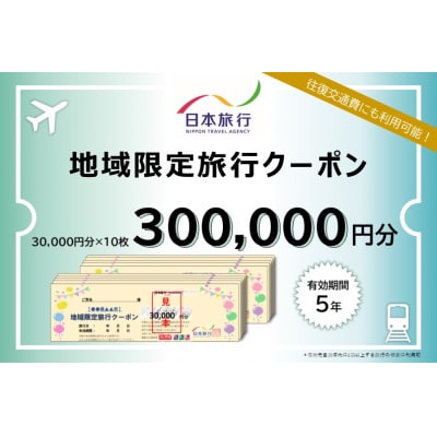 日本旅行 地域限定旅行クーポン【300,000円分】[No.5735-1106]