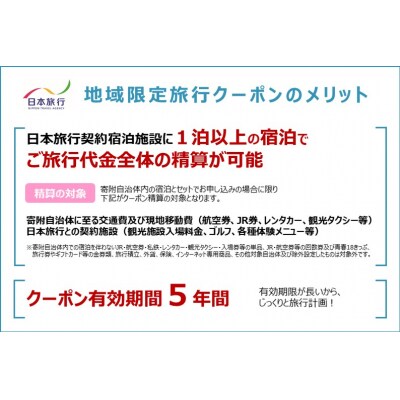 日本旅行 地域限定旅行クーポン【300,000円分】[No.5735-1106]