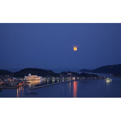 日本旅行 地域限定旅行クーポン【300,000円分】[No.5735-1106]