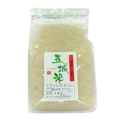 山銀商店 かば焼きあなご(合計約300g)と岡山県産五城米2kgのセット[No.5735-0737]