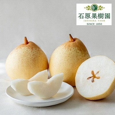 【先行受付】 備前乙女梨(鴨梨) 6～9玉 合計約4kg  岡山県産 [No.5735-1160]