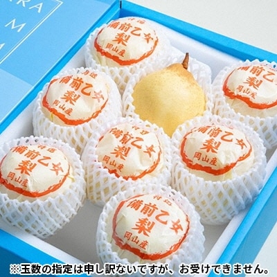 【先行受付】 備前乙女梨(鴨梨) 6～9玉 合計約4kg  岡山県産 [No.5735-1160]