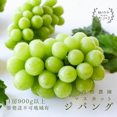 【先行受付】マスカット・ジパング 1房(900g以上)岡山県産 [No.5735-1188]
