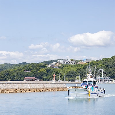 服部水産の牛窓 ちりめん 500g【配達不可:離島】[No.5735-1190]