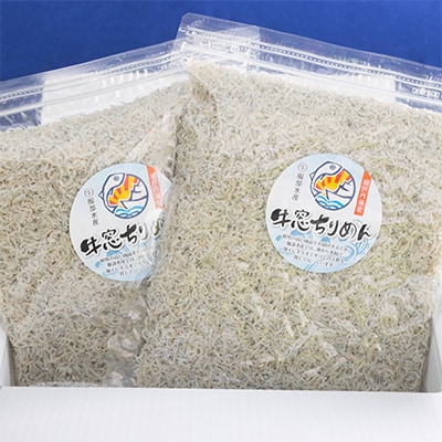 ちりめんじゃこ 牛窓 ちりめん 1kg(500g×2袋) 瀬戸内海産  [No.5735-1191]