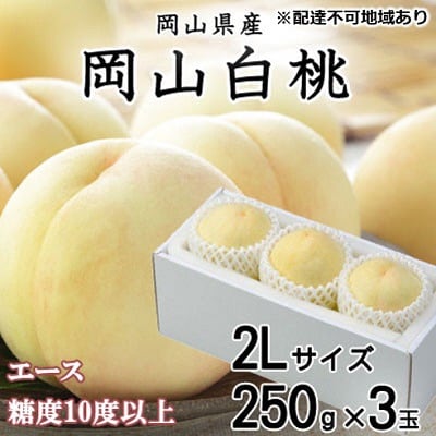 岡山 白桃 エース 3玉×約250g(2Lサイズ)(早生種・中生種) [No.5735-1199]