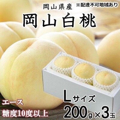 岡山 白桃 エース 3玉×約200g(Lサイズ) (早生種・中生種) [No.5735-1202]