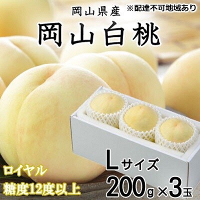 岡山 白桃 ロイヤル 3玉×約200g(Lサイズ)(早生種・中生種) [No.5735-1204]