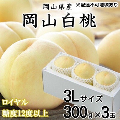 岡山 白桃 ロイヤル 3玉×約300g(3Lサイズ)早生種・中生種) [No.5735-1198]