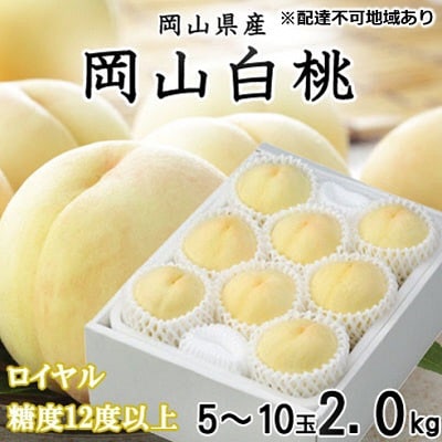 岡山 白桃 ロイヤル 5～10玉 約2kg (早生種・中生種)[No.5735-1210]
