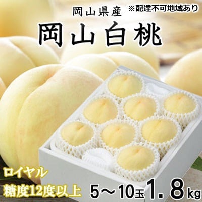R  C 5`10 1.8kg (E)[No.5735-1213]