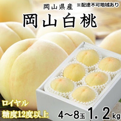 岡山 白桃 ロイヤル 4～8玉 約1.2kg　(早生種・中生種)[No.5735-1219]