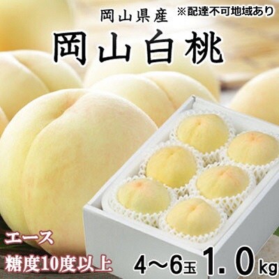 岡山 白桃 エース 4～6玉 約1kg (早生種・中生種)  [No.5735-1220]