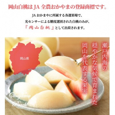 岡山 白桃 エース 4～6玉 約1kg (早生種・中生種)  [No.5735-1220]