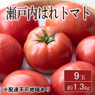 期間限定【産地直送】瀬戸内はれトマト(桃太郎トマト)9玉 約1.3kg[No.5735-1272]