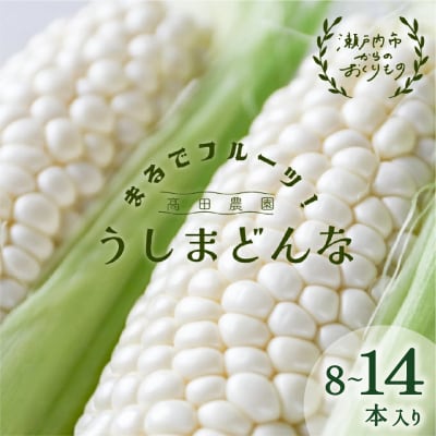 生で甘い、茹でて美味い!牛窓産 白色 とうもろこし 「うしまどんな」約3kg[2157002]