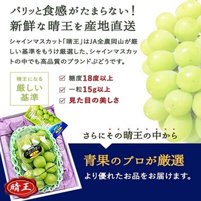 【2026年先行受付】シャインマスカット晴王 1房700g前後 岡山県産[No.5735-1228]