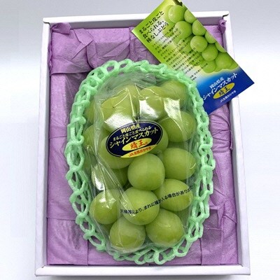 【2026年先行受付】シャインマスカット晴王 1房800g前後 岡山県産[No.5735-1229]