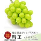 シャインマスカット晴王 3～5房(10月上旬～11月下旬発送分)岡山県産[No.5735-1232]