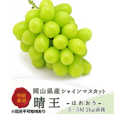 シャインマスカット晴王 3～5房(10月上旬～11月下旬発送分)岡山県産[No.5735-1232]