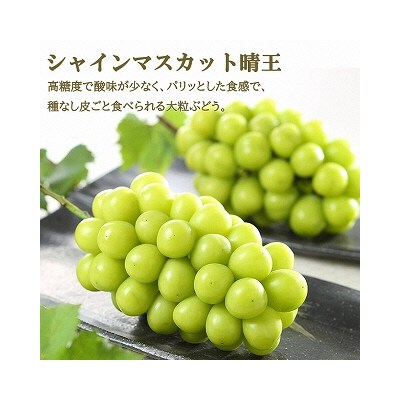 ニュー ピオーネ・シャイン マスカット 晴王 各1房約500g 岡山県産[No.5735-1252]
