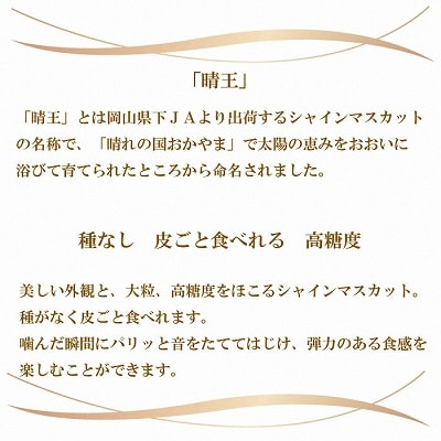 シャイン マスカット 晴王 5房～10房 約5kg 岡山県産[No.5735-1234]