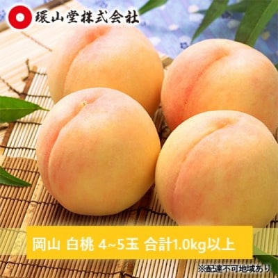 【2026年先行受付】 岡山 白桃 4~5玉 合計1.0kg以上 [No.5735-1421]