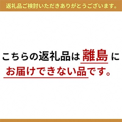【2026年先行受付】 岡山 白桃 4~5玉 合計1.0kg以上 [No.5735-1421]