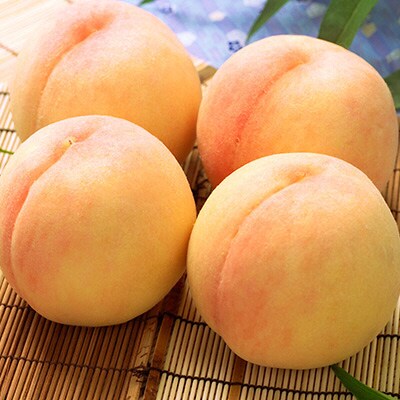 【2026年先行受付】 岡山 白桃 4~5玉 合計1.0kg以上 [No.5735-1421]