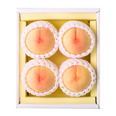 【2026年先行受付】 岡山 白桃 4~5玉 合計1.0kg以上 [No.5735-1421]