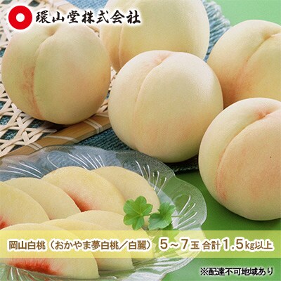 岡山 白桃(品種:おかやま夢白桃/白麗)5～7玉 合計1.5kg以上 [No.5735-1424]