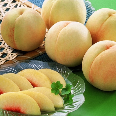 岡山 白桃(品種:白鳳/加納岩白桃)5～7玉 合計1.5kg以上  [No.5735-1423]