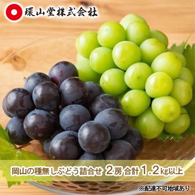 【2025年先行受付】種無しぶどう詰合せ2房 計1.2kg以上 岡山県産[No.5735-1429]