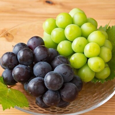 【2026年先行受付】種無しぶどう詰合せ2房 計1.2kg以上 岡山県産[No.5735-1429]